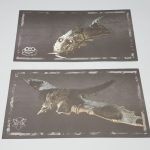 shadow of the colossus ps4 presskit 8 lithografien 1