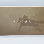 shadow of the colossus ps4 presskit schuber